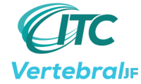 ITC Vertebral